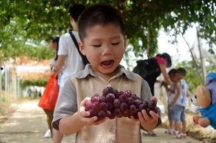 群妞吃瓜,揭秘娱乐圈背后的那些事儿