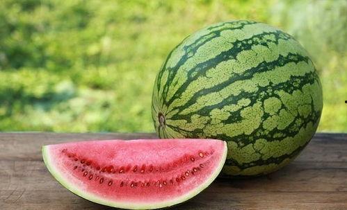 吃角瓜能吃西瓜吗,揭秘能否享用西瓜的奥秘