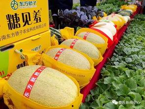 惠民吃瓜新闻,揭秘娱乐圈幕后故事，带你领略明星们的真实生活