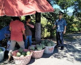 保康吃瓜群众,揭秘当地热点事件背后的真相