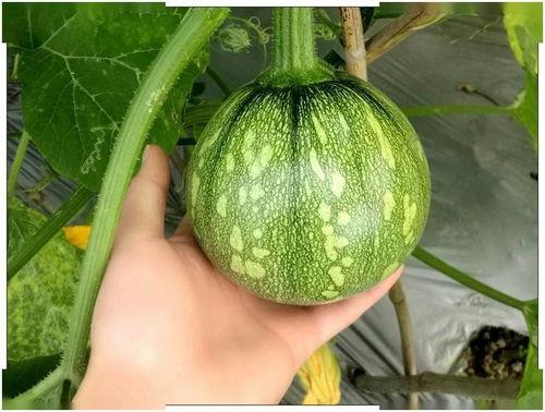 小风暴吃瓜,揭秘娱乐圈幕后风云