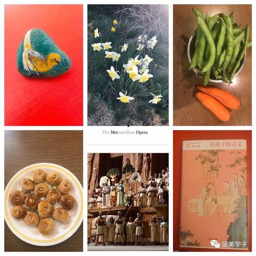 惠州疫情吃瓜,吃瓜群众视角下的防疫战