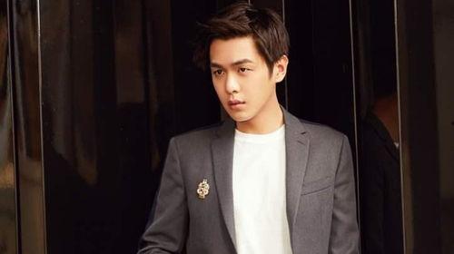 张若昀吃瓜,娱乐圈的“瓜田”再起波澜