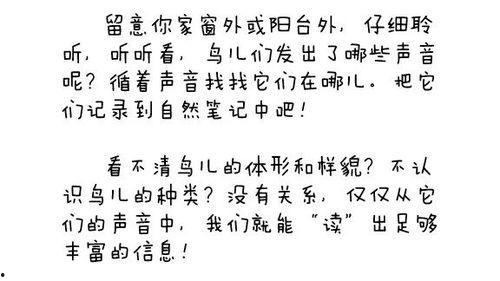 阿春的日记吃瓜,揭秘娱乐圈的甜蜜瓜田