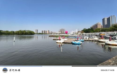 浑河外滩吃瓜节,瓜香四溢——浑河外滩吃瓜节欢乐盛况