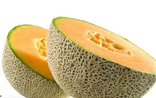 吃瓜西昌17度,吃瓜群众的夏日狂欢之旅