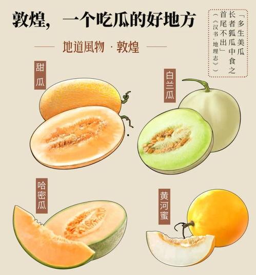 岑岑吃瓜画图,一幅描绘当代社会百态的趣味画卷