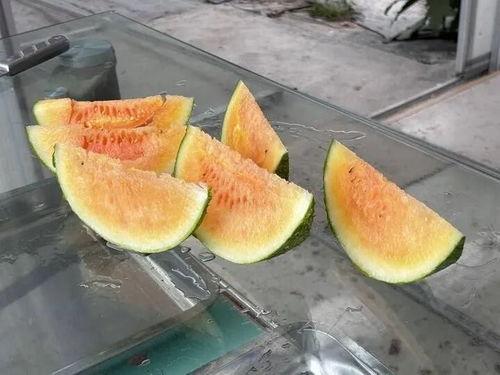 乡村怎样吃瓜,瓜果飘香，共享田园美味时光